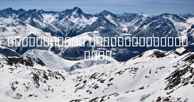 ˫���������� ��Ƚ�����������